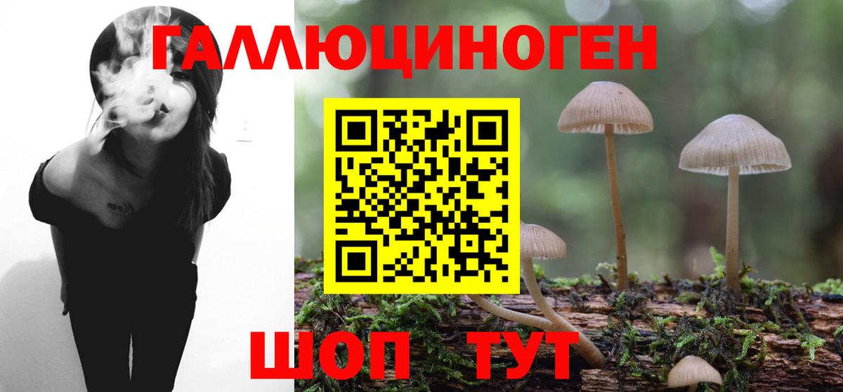 Арсеньев  Псилоцибиновые грибы Magic Shrooms  Галлюциногенные грибы Magic Shrooms  купить  цена  Вход с VPN 